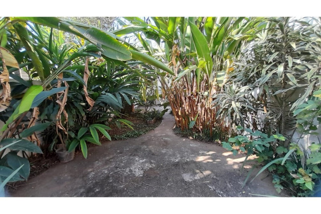 Imagem Casa com 3 Quartos à Venda, 140 m² em Planalto Paulista - São Paulo Imagem Casa com 3 Quartos à Venda, 140 m² em Planalto Paulista - São Paulo