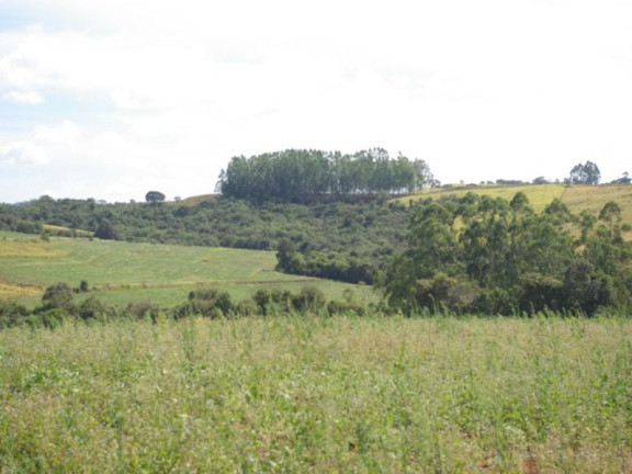 Imagem Imóvel à Venda, 435.600 m² em Zona Rural - Jacui