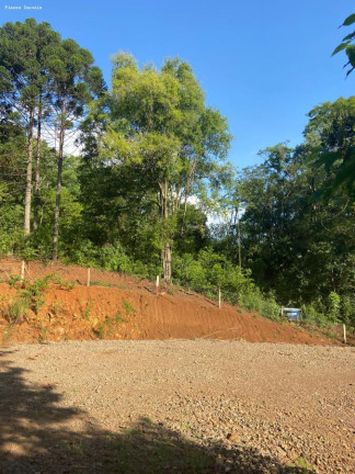 Imagem Terreno à Venda, 48.800 m² em Interior - Cordilheira Alta Imagem Terreno à Venda, 48.800 m² em Interior - Cordilheira Alta