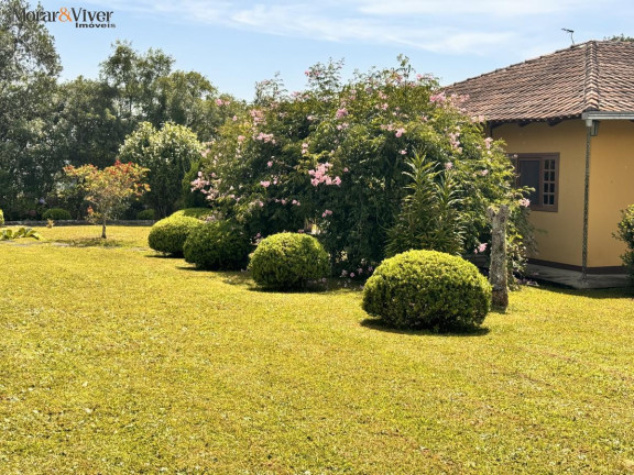 Imagem Chácara com 4 Quartos à Venda, 7.700 m² em Loteamento Chácara Chantecler - Piraquara