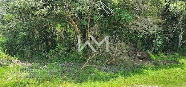 Imagem Terreno à Venda, 307 m² em Jardim Beira-mar - Peruíbe Imagem Terreno à Venda, 307 m² em Jardim Beira-mar - Peruíbe