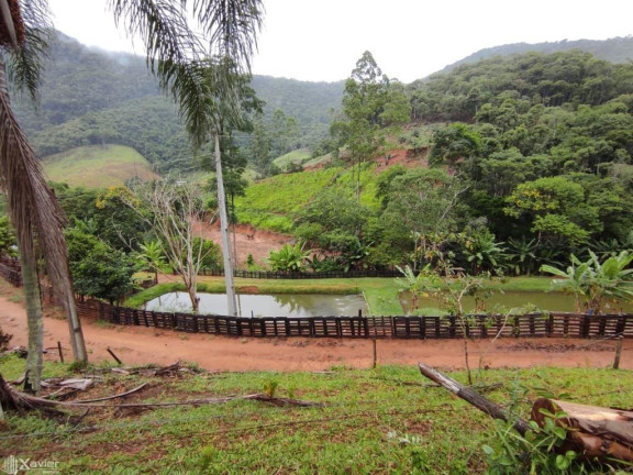 Imagem Imóvel com 3 Quartos à Venda, 135.000 m²