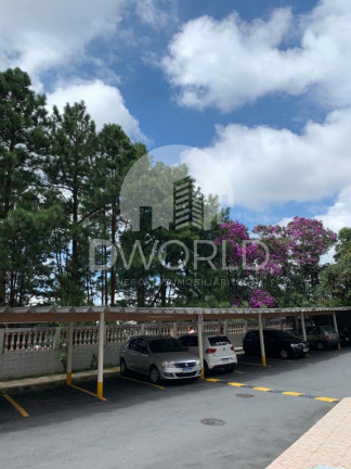 Imagem Imóvel com 2 Quartos à Venda, 53 m² em Santa Terezinha - São Bernardo Do Campo Imagem Imóvel com 2 Quartos à Venda, 53 m² em Santa Terezinha - São Bernardo Do Campo