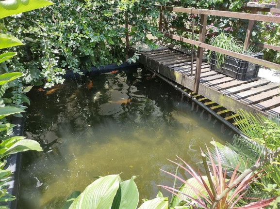 Imagem Sobrado com 4 Quartos à Venda, 310 m² em Ocian - Praia Grande