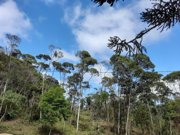 Imagem Fazenda à Venda, 58.665 m² em Pacotuba - Almirante Tamandaré Imagem Fazenda à Venda, 58.665 m² em Pacotuba - Almirante Tamandaré