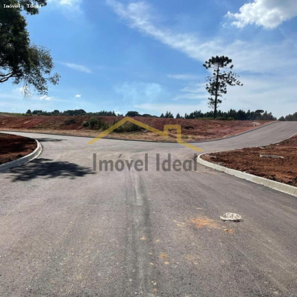 Imagem Terreno à Venda, 230 m² em Costeira - Araucária Imagem Terreno à Venda, 230 m² em Costeira - Araucária