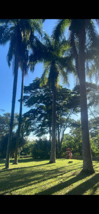 Imagem Chácara à Venda, em Vargem Grande Do Sul Imagem Chácara à Venda, em Vargem Grande Do Sul