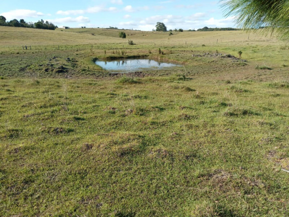 Imagem Chácara à Venda, 60.000 m² em Capão Da Porteira - Viamão