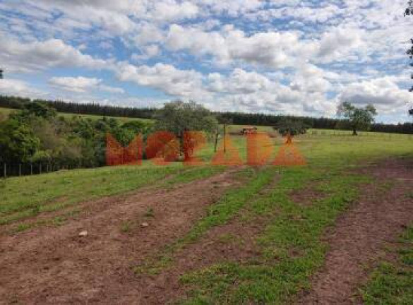 Imagem Fazenda à Venda, 2.700 m² em Zona Rural - Morpará Imagem Fazenda à Venda, 2.700 m² em Zona Rural - Morpará