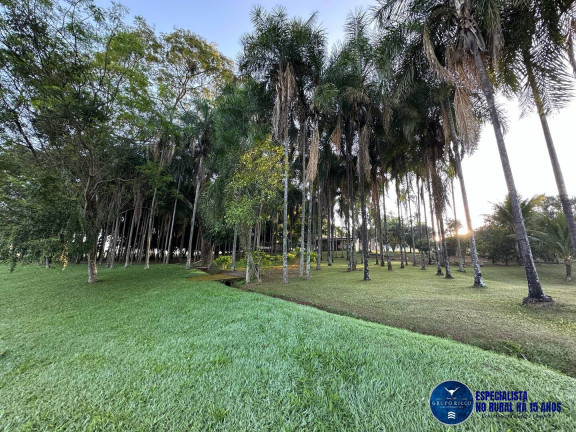 Imagem Chácara à Venda, 2 m² em Zona Rural - Bela Vista De Goiás Imagem Chácara à Venda, 2 m² em Zona Rural - Bela Vista De Goiás