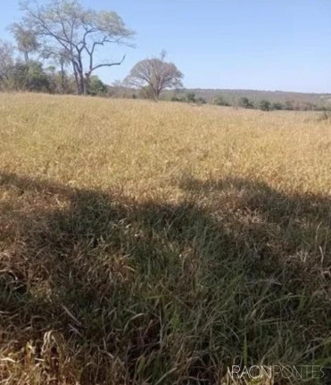Imagem Fazenda à Venda, 2.032.800 m² em Zona Rural - Guaraci Imagem Fazenda à Venda, 2.032.800 m² em Zona Rural - Guaraci
