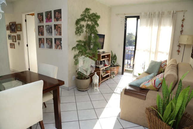 Imagem Apartamento com 3 Quartos à Venda, 69 m² em Jardim Santo Amaro - São Paulo Imagem Apartamento com 3 Quartos à Venda, 69 m² em Jardim Santo Amaro - São Paulo