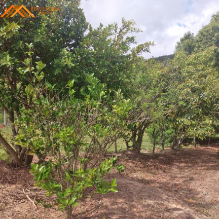 Imagem Terreno à Venda, 1.460 m² em Cangueri De Fora - Imaruí