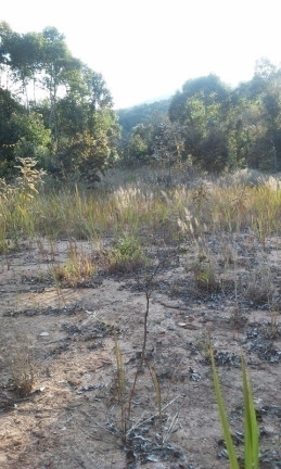 Imagem Terreno à Venda, 34 m² em Terra Preta - Mairiporã