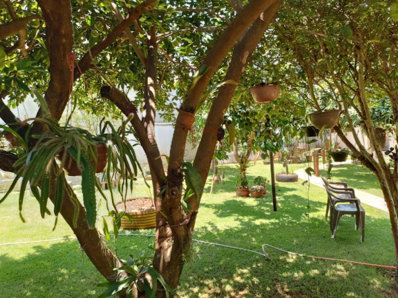 Imagem Imóvel com 2 Quartos à Venda, 300 m² em área Rural De Limeira - Limeira Imagem Imóvel com 2 Quartos à Venda, 300 m² em área Rural De Limeira - Limeira