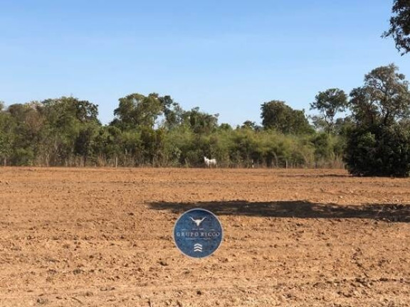 Imagem Fazenda à Venda, 1 m² em Zona Rural - Canabrava Do Norte Imagem Fazenda à Venda, 1 m² em Zona Rural - Canabrava Do Norte