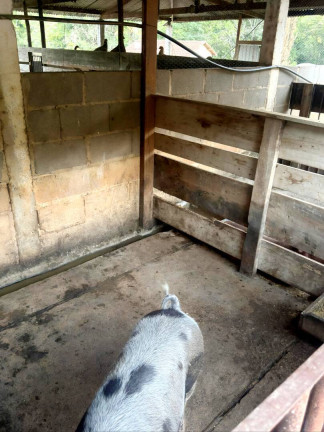 Imagem Chácara à Venda, 3 m² em São José Do Rio Pardo Imagem Chácara à Venda, 3 m² em São José Do Rio Pardo