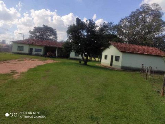 Imagem Chácara com 4 Quartos à Venda, 2.000 m² em Alambari