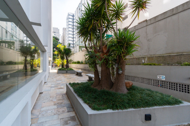 Imagem Apartamento com 3 Quartos à Venda, 105 m² em Jardim Paulista - São Paulo Imagem Apartamento com 3 Quartos à Venda, 105 m² em Jardim Paulista - São Paulo