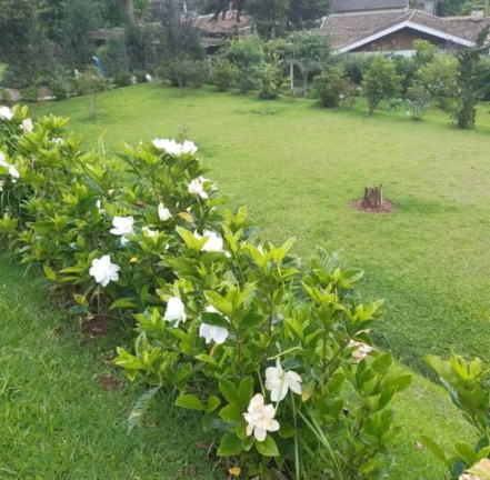 Imagem Casa com 3 Quartos à Venda, 2.000 m² em Campos Do Jordão Imagem Casa com 3 Quartos à Venda, 2.000 m² em Campos Do Jordão