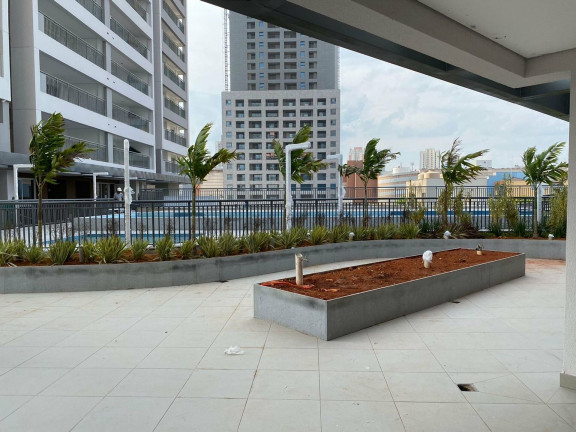 Imagem Apartamento com 2 Quartos à Venda, 73 m² em Cidade Mãe Do Céu - São Paulo Imagem Apartamento com 2 Quartos à Venda, 73 m² em Cidade Mãe Do Céu - São Paulo