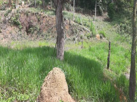 Imagem Terreno à Venda, 5.470 m² em Santa Isabel - Santa Isabel