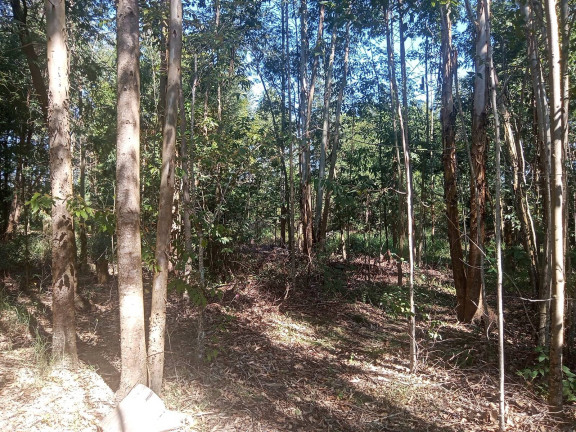 Imagem Chácara com 3 Quartos à Venda, 2.056 m² em águas Claras - Viamão