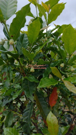 Imagem Terreno à Venda, 20 m² Imagem Terreno à Venda, 20 m²