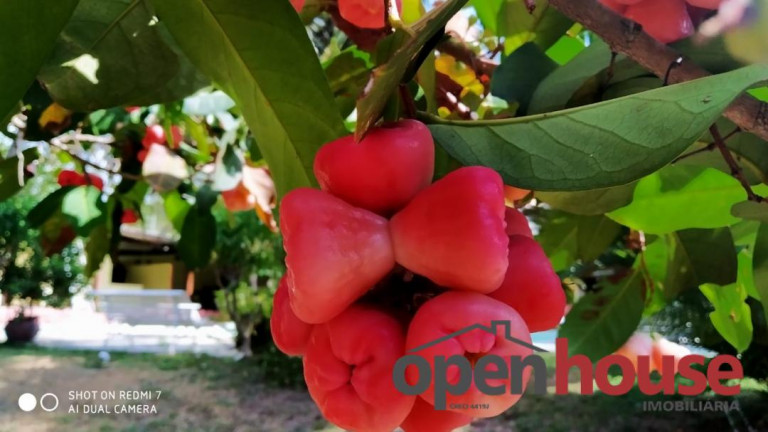 Imagem Casa com 5 Quartos à Venda, 650 m² em Pipa - Tibau Do Sul Imagem Casa com 5 Quartos à Venda, 650 m² em Pipa - Tibau Do Sul