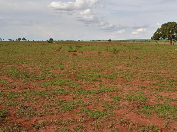 Imagem Fazenda à Venda, 2.027 m² em Rural - Campo Grande