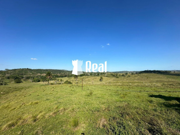 Imagem Fazenda à Venda, 1.300.000 m² em Centro - Mata De São João