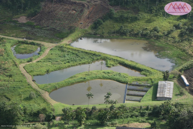 Imóvel com 1 Quarto à Venda, 83 m² em Plantação Com Certificação Orgânica Para O Brasil E Para A Europa. - Peruíbe