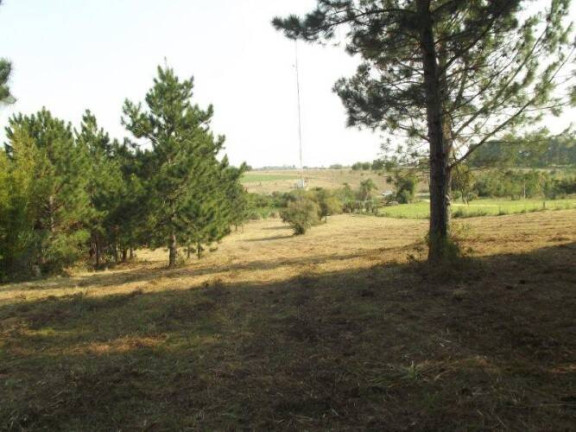 Imagem Terreno à Venda, 80.000 m² em águas Claras - Viamão