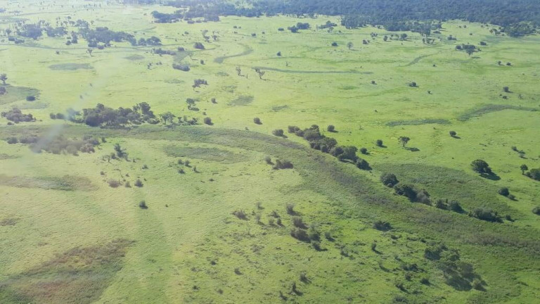 Imagem Fazenda à Venda, 92 m² em Zona Rural De Poconé - Poconé Imagem Fazenda à Venda, 92 m² em Zona Rural De Poconé - Poconé