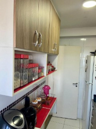 Imagem Apartamento com 3 Quartos à Venda, 63 m² em Vila Moraes - São Paulo Imagem Apartamento com 3 Quartos à Venda, 63 m² em Vila Moraes - São Paulo