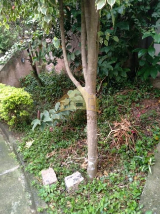 Imagem Imóvel à Venda, 270 m² em Vila Formosa - São Paulo