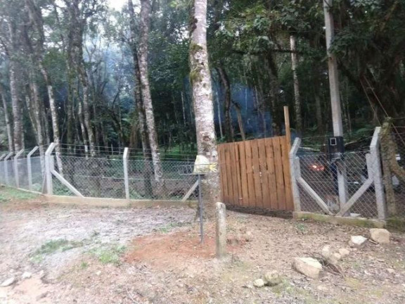 Imagem Terreno à Venda, 9.100 m² em Campestre Da Faxina - São José Dos Pinhais