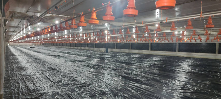 Imagem Chácara com 3 Quartos à Venda, 774 m² em Zona Rural - Alambari Imagem Chácara com 3 Quartos à Venda, 774 m² em Zona Rural - Alambari