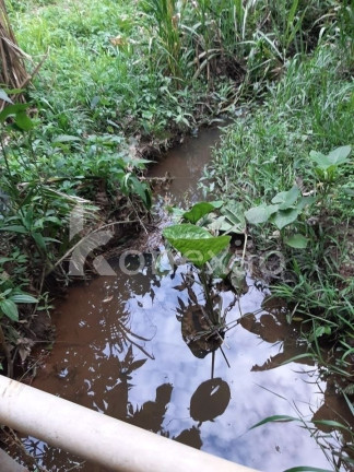 Imagem Chácara com 4 Quartos à Venda, 200 m² em Centro - Paraibuna Imagem Chácara com 4 Quartos à Venda, 200 m² em Centro - Paraibuna