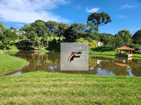 Imagem Chácara com 3 Quartos à Venda, 305.000 m² em Zona Rural - Tijucas Do Sul