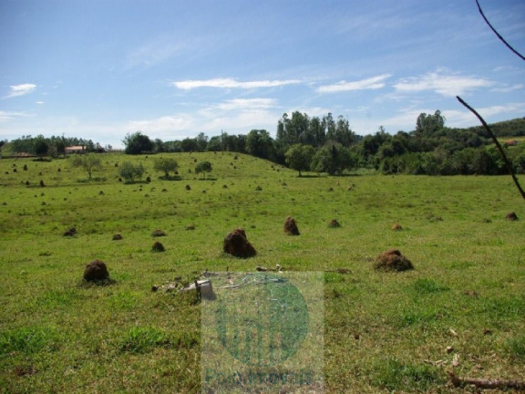Imagem Imóvel com 3 Quartos à Venda, 220.000 m² em Zona Rural - Jacui