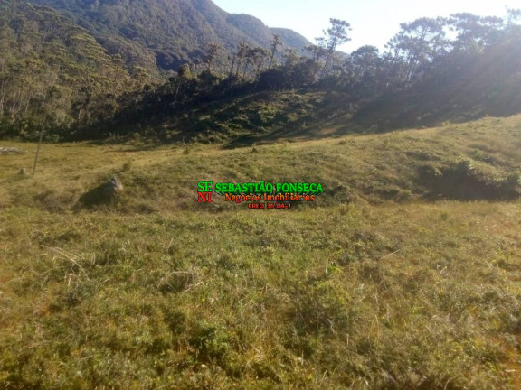 Imagem Chácara à Venda, 11 m² em Centro - Piquete Imagem Chácara à Venda, 11 m² em Centro - Piquete
