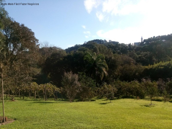 Imagem Casa com 3 Quartos à Venda, 296 m² em Vale Verde - Nova Petrópolis Imagem Casa com 3 Quartos à Venda, 296 m² em Vale Verde - Nova Petrópolis
