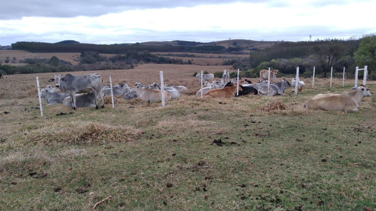 Imagem Fazenda à Venda, 113 m² em Rural - Paranapanema Imagem Fazenda à Venda, 113 m² em Rural - Paranapanema