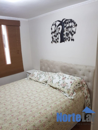 Imagem Apartamento com 3 Quartos à Venda, 61 m² em Vila Regina - São Paulo Imagem Apartamento com 3 Quartos à Venda, 61 m² em Vila Regina - São Paulo
