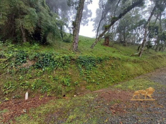 Imagem Terreno em Condomínio à Venda, 1.000 m² em Alto Boa Vista - Campos Do Jordão Imagem Terreno em Condomínio à Venda, 1.000 m² em Alto Boa Vista - Campos Do Jordão