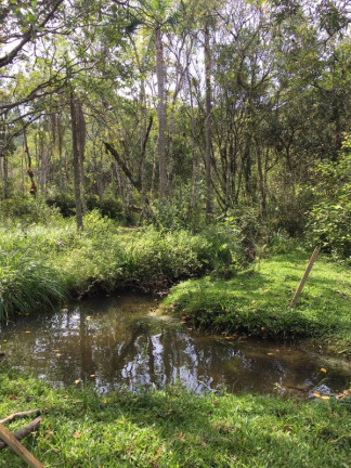 Imagem Chácara à Venda, 51.000 m² em Rio Do Meio - Camboriu