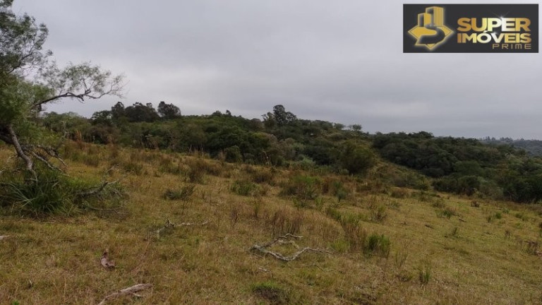 Imagem Imóvel com 4 Quartos à Venda, 2.600.000 m² em Centro - Canguçu