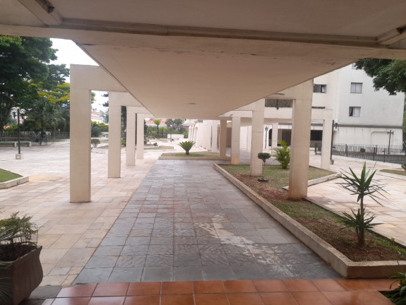 Imagem Apartamento com 3 Quartos à Venda, 115 m² em Jardim Aeroporto - São Paulo