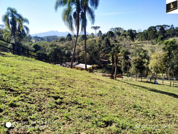 Imagem Imóvel com 3 Quartos à Venda, 16.200 m² em Zona Rural - Quatro Barras Imagem Imóvel com 3 Quartos à Venda, 16.200 m² em Zona Rural - Quatro Barras